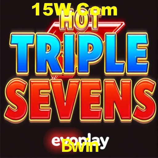 Security Systems Bwin